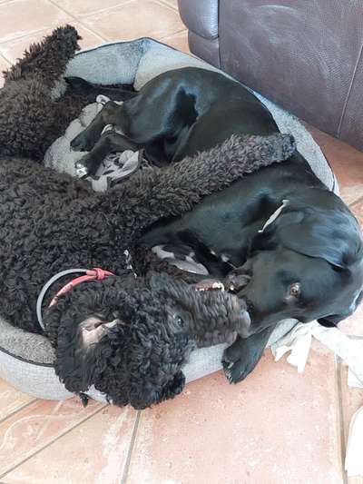 Handy-Foto Challange Nr. 10-Beitrag-Bild