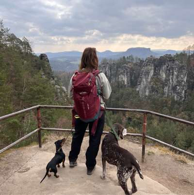 Hundetreffen-Trainingspartner gesucht
