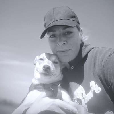 Hundetreffen-Hundetreffen gesucht