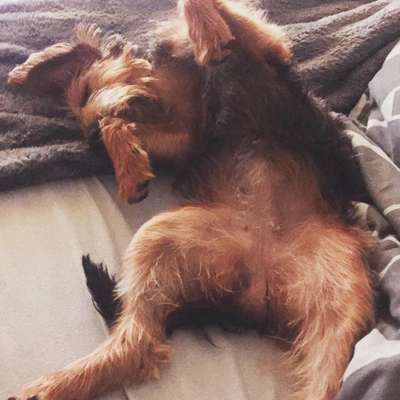 Fotochallenge Nr.65-Beitrag-Bild