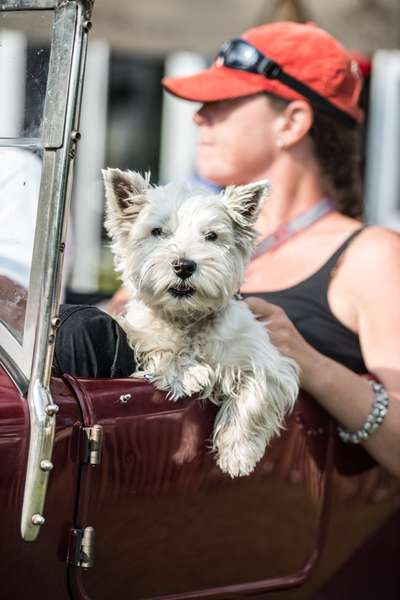 117. Fotochallenge-Beitrag-Bild