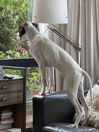 120. Fotochallenge-Beitrag-Bild