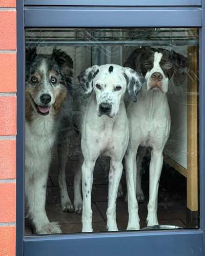 120. Fotochallenge-Beitrag-Bild