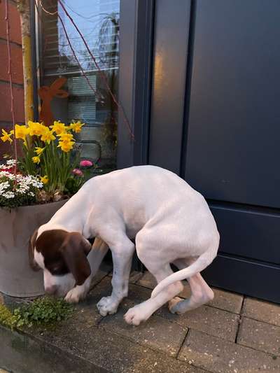 21. Handy-Foto-Challenge-Beitrag-Bild