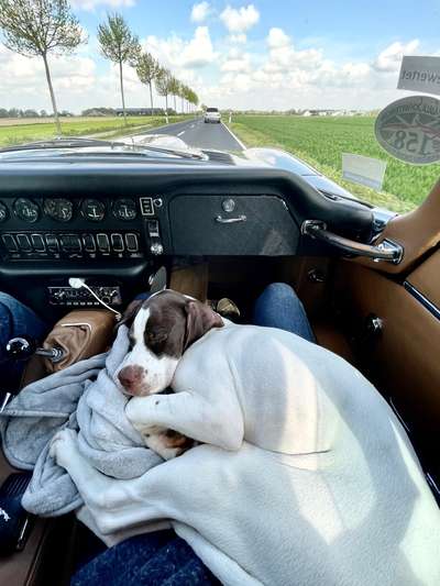 117. Fotochallenge-Beitrag-Bild