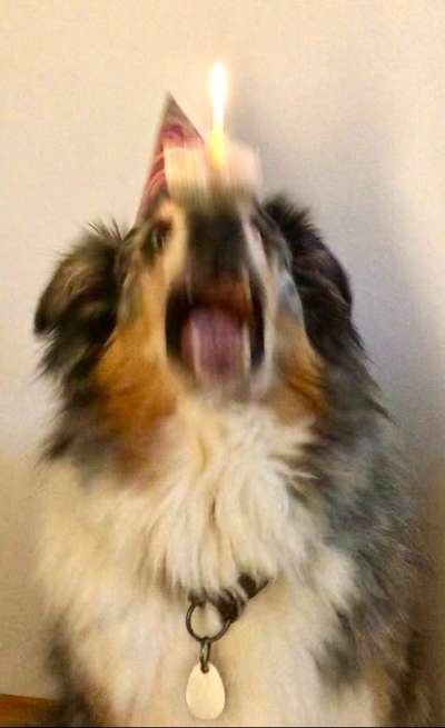 Fotochallenge 110: Lustige und schöne Schnappfotos-Beitrag-Bild