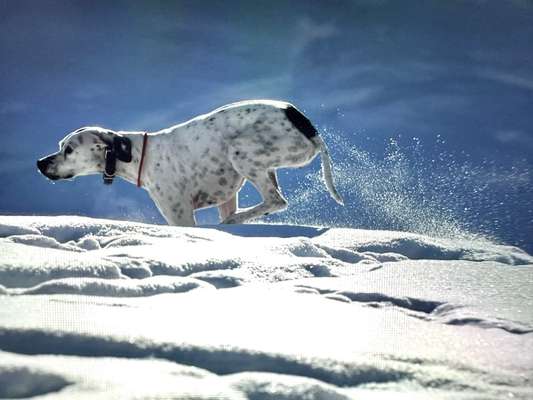 Verspielt-Beitrag-Bild