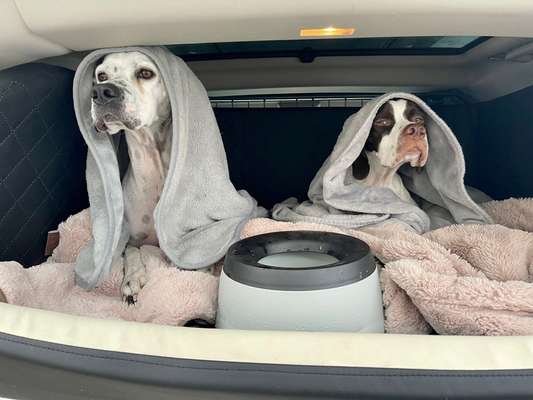 117. Fotochallenge-Beitrag-Bild