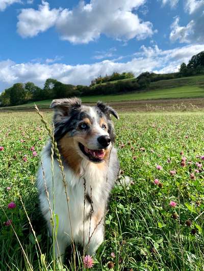 118. Fotochallange-Beitrag-Bild