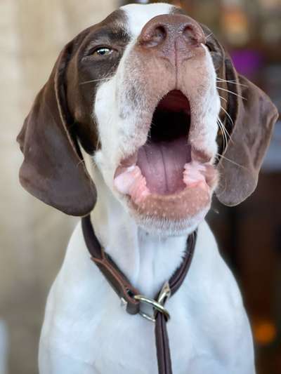 20. Handy -Foto-Callenge-Beitrag-Bild