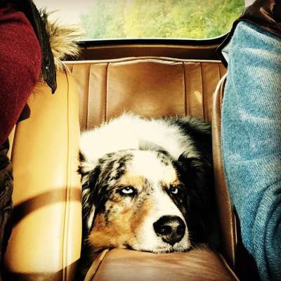 117. Fotochallenge-Beitrag-Bild