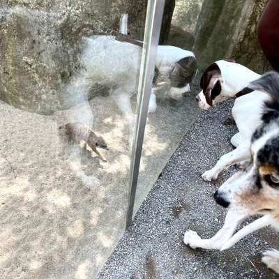 23. Handy Foto-Challenge-Beitrag-Bild