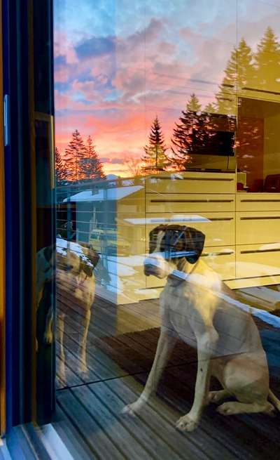 Sonnenaufgänge oder - untergänge-Beitrag-Bild