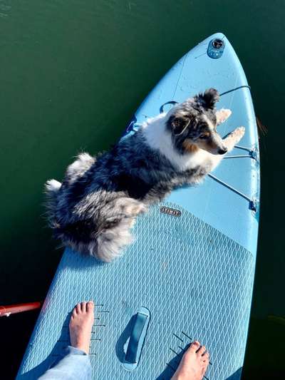 35. Handy Foto Challenge - Das nasse Element-Beitrag-Bild