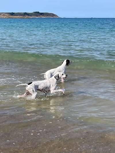 25. Collage Challenge - Urlaub ich packe meine Koffer-Beitrag-Bild