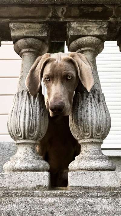 23. Handy Foto-Challenge-Beitrag-Bild