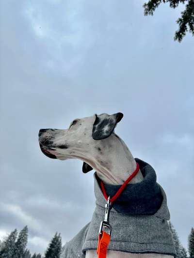 118. Fotochallange-Beitrag-Bild