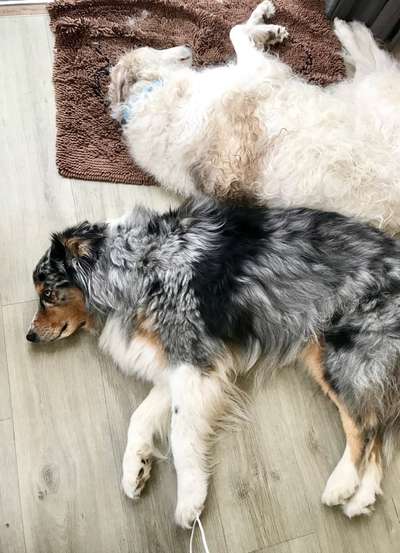 Foto Challenge Nr.: 115-Beitrag-Bild