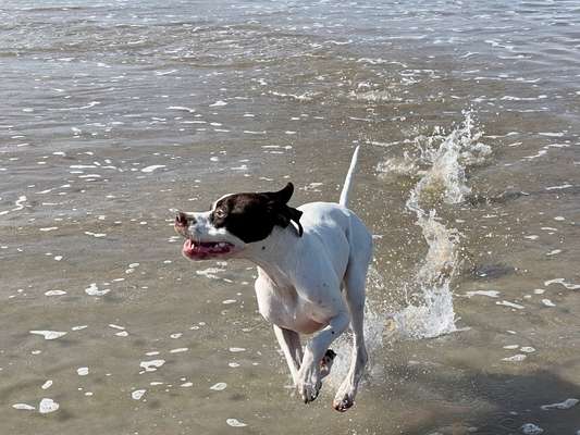 25. Collage Challenge - Urlaub ich packe meine Koffer-Beitrag-Bild