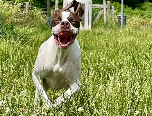 Fotochallenge Nr.122-Beitrag-Bild