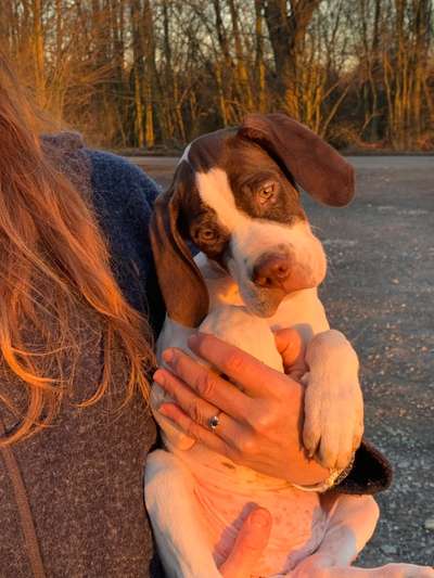 36. Handy Foto Challenge - Sonnenanbeter-Beitrag-Bild