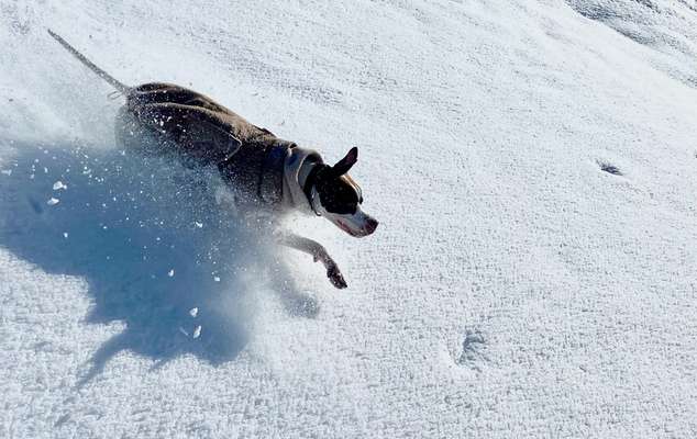 Verspielt-Beitrag-Bild