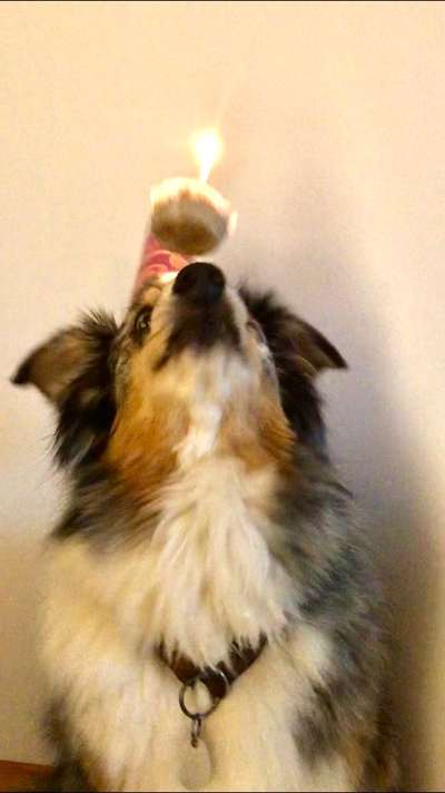 25. Handy Foto Challenge-Beitrag-Bild