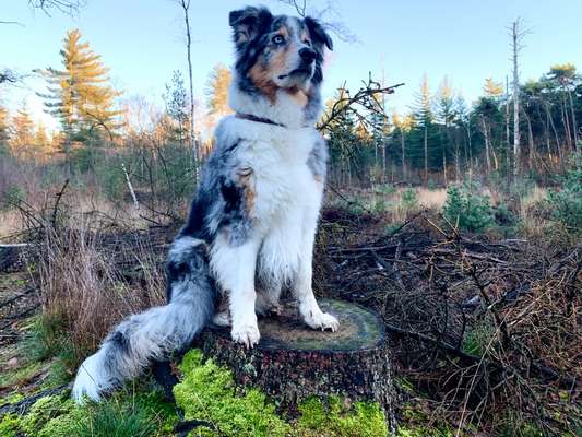 27. Handy Fotochallenge-Beitrag-Bild