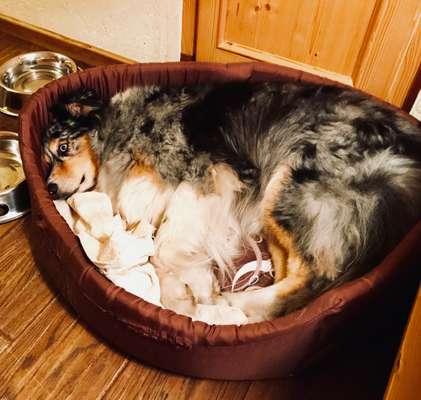 121. Fotochallenge-Beitrag-Bild