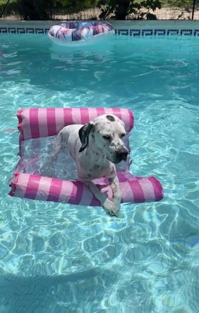 35. Handy Foto Challenge - Das nasse Element-Beitrag-Bild