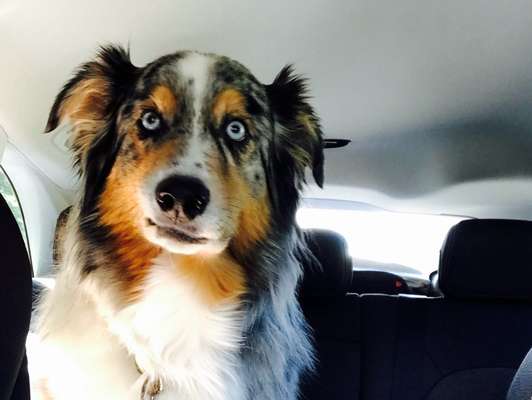 Fotochallenge Nr.122-Beitrag-Bild