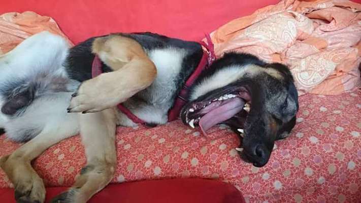 Lieblingsbild-Beitrag-Bild