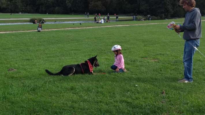 Lieblingsbild-Beitrag-Bild