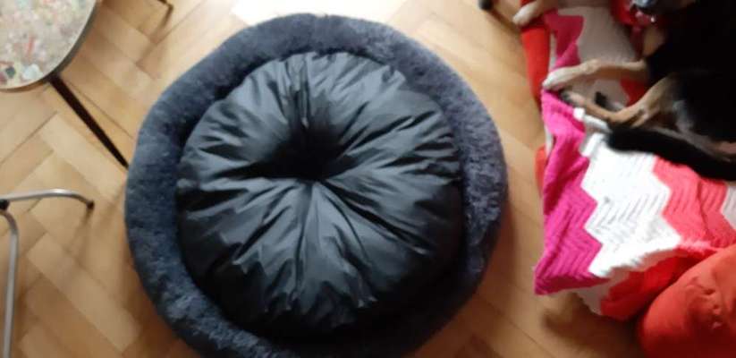 Nagelneues Hundebett, Wolke7,                     VB 65€+Versand-Beitrag-Bild