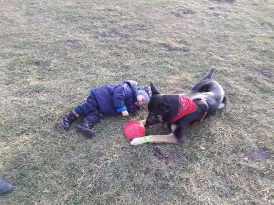 Lieblingsbild-Beitrag-Bild