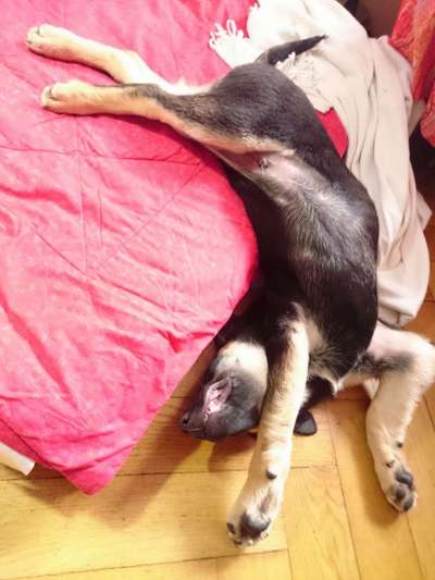 Die unbequemsten und lustigsten Schlafpositionen-Beitrag-Bild