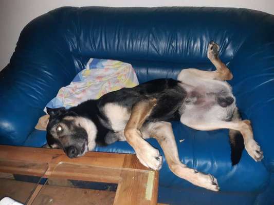 Lieblingsbild-Beitrag-Bild