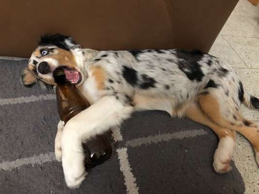 Fotochallenge No. 5-Beitrag-Bild