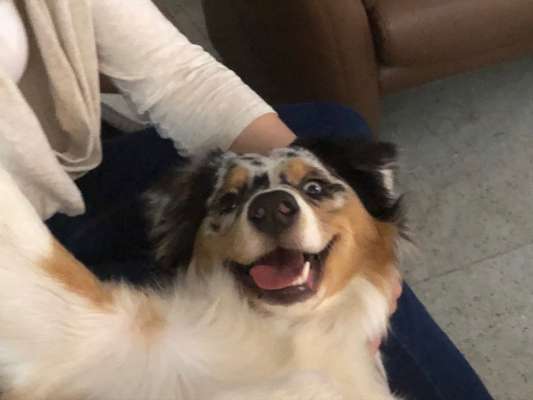 Fotochallange Nr. 6 Die irrsten Blicke-Beitrag-Bild