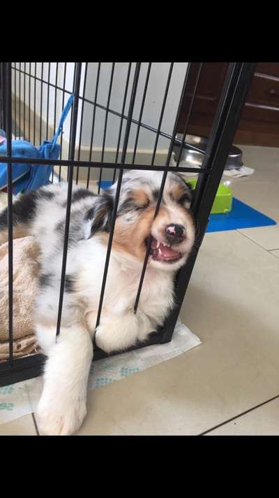 CHALLENGE NR. 34 - Liege-/Schlafpositionen-Beitrag-Bild