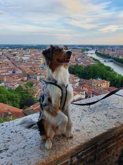 Stadt fotos-Beitrag-Bild