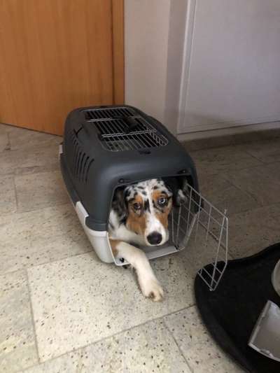 CHALLENGE NR. 18 - ON TOUR-Beitrag-Bild