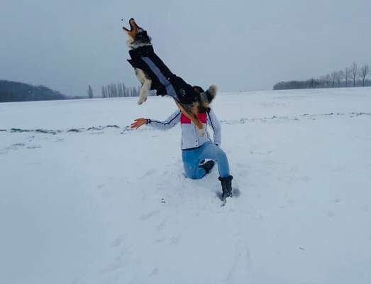 FOTOCHALLENGE:24  Thema: Hunde und ihre Tricks-Beitrag-Bild