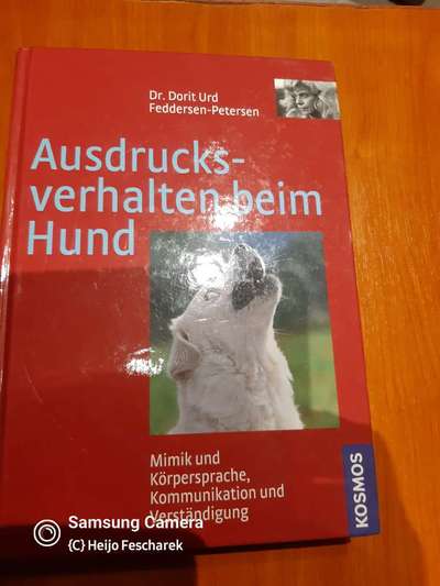 Rütter und die Wasserflasche / aversive Methoden-Beitrag-Bild