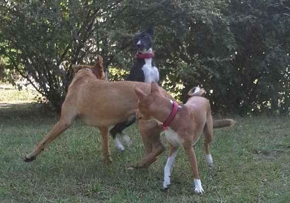 Fotochallenge 69-Beitrag-Bild