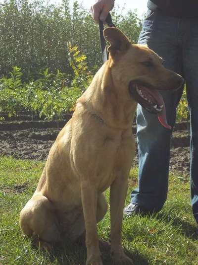 Erstes Bild-Beitrag-Bild