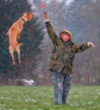 Lieblingsbild-Beitrag-Bild