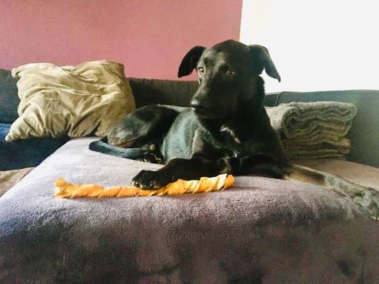 Fotochallenge Nr. 64-Beitrag-Bild