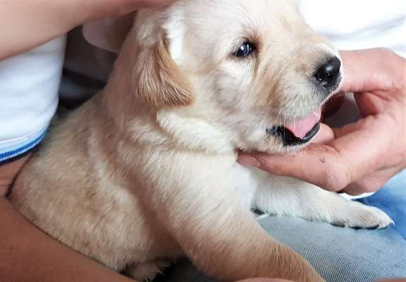 Das erste Foto-Beitrag-Bild