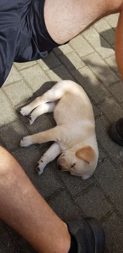 Das erste Foto-Beitrag-Bild